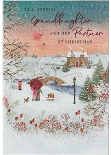 To A Special Granddaughter And Her Partner At Christmas